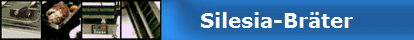                     Silesia-Br�ter